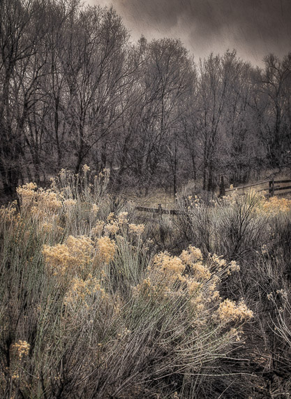 Corral in Spring Storm Canoncito at Apache Canyon NM
