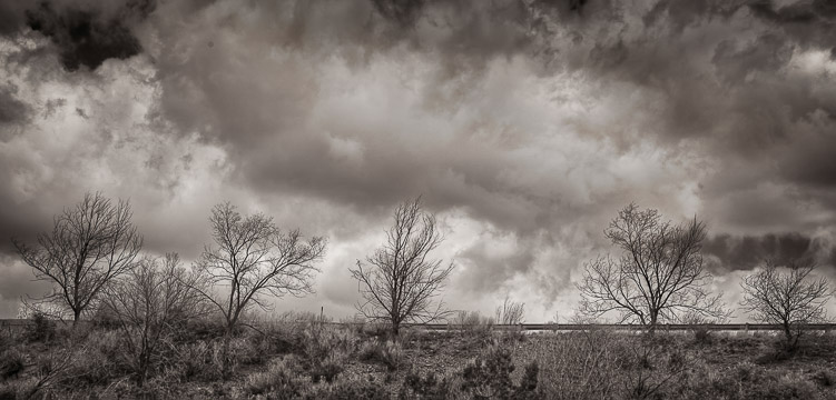I25 and the Sky From Arroyo Hondo Wetlands Santa Fe County NM
