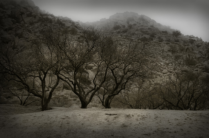 Texas Canyon, AZ